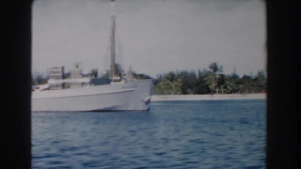 The white boat is framed closer to the bow and cabin on Nassau water, with palms and a low shoreline visible beyond it.