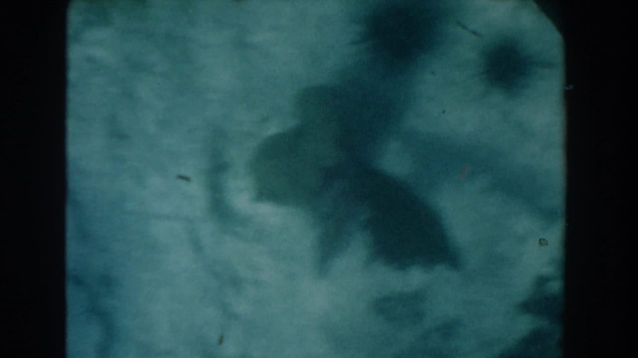 Murky green-blue underwater view with dark soft shapes and film border visible.