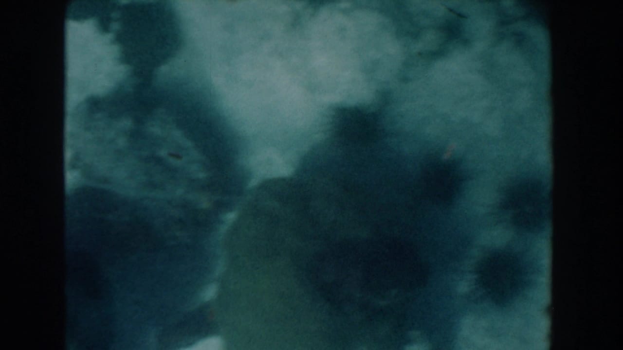 Underwater frame with dark coral-like shapes, cloudy water, and vertical film divider.