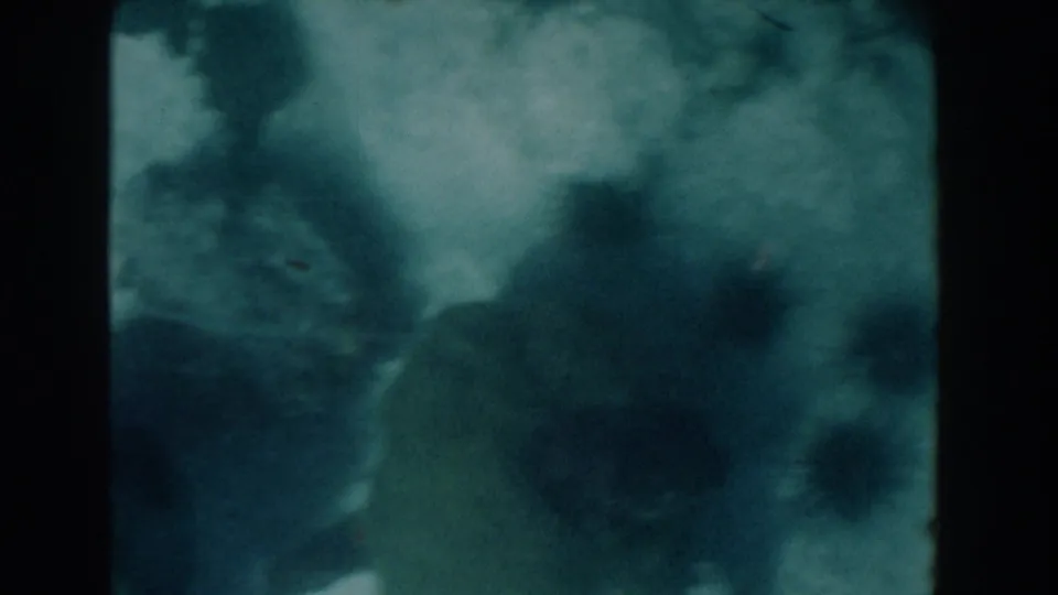 1961 Nassau underwater 8mm frame with murky water, dark coral-like or structural shapes, and heavy vintage film texture.