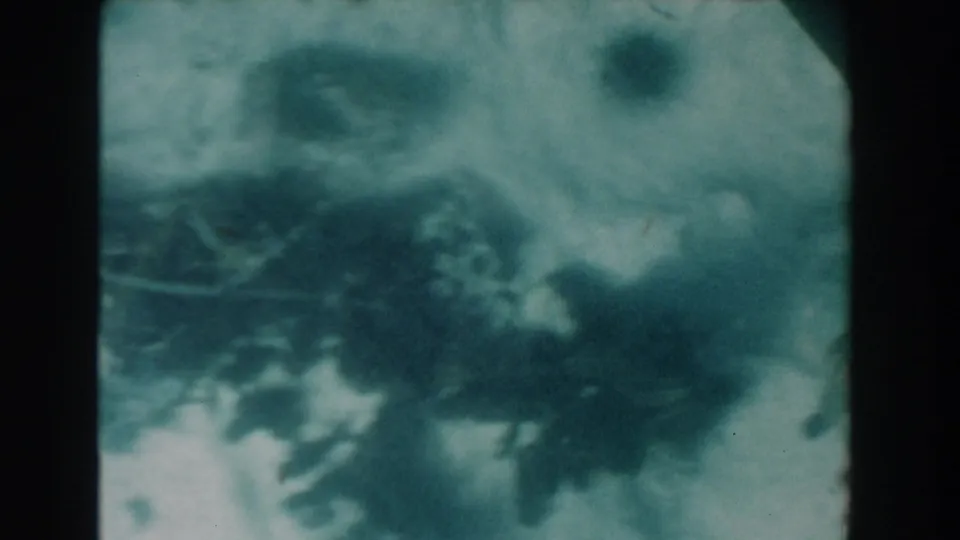 1961 Nassau underwater 8mm frame showing a hazy seabed view with dark organic-looking shapes and drifting film texture.