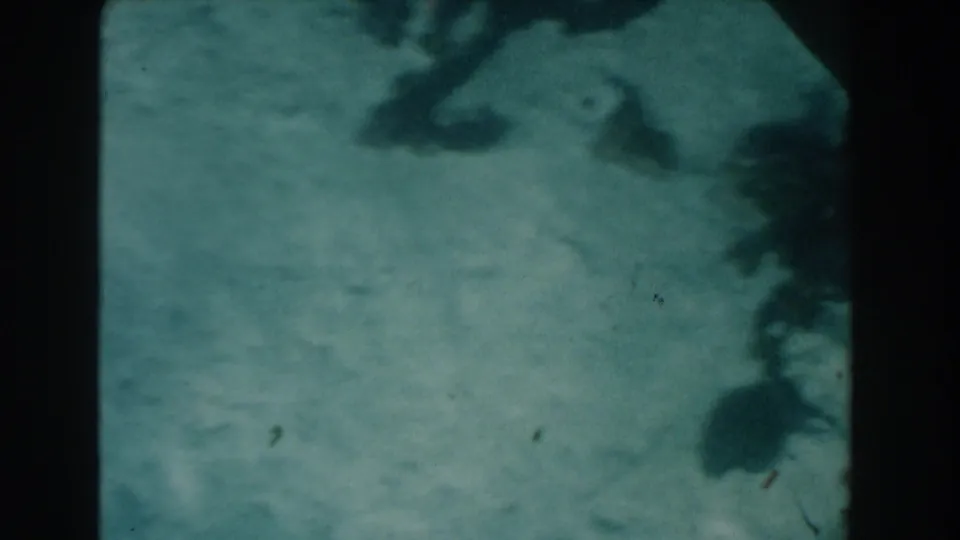 1961 Nassau underwater 8mm frame with pale seabed texture, dark surrounding forms, cloudy water, and visible film wear.