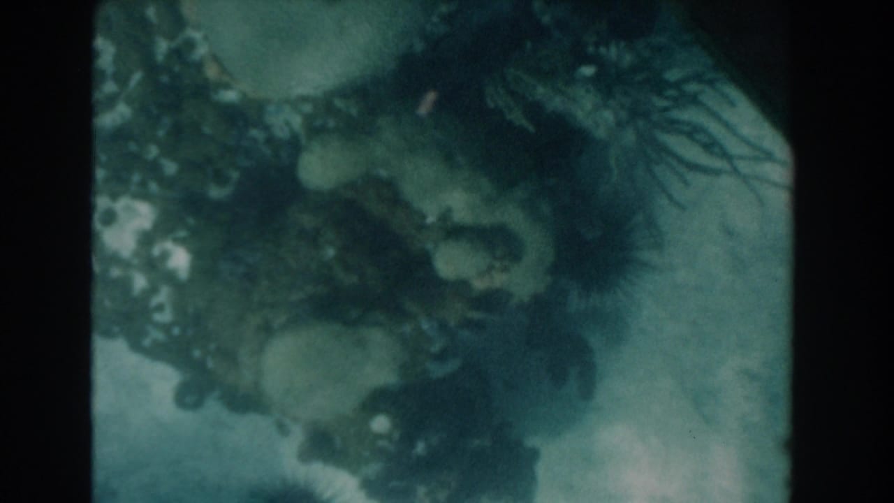 1961 Nassau 8mm underwater view of a murky seafloor with dark coral or rock forms and visible film frame borders.
