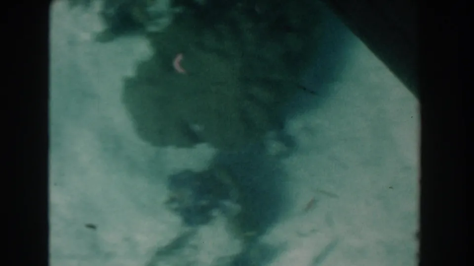 1961 Nassau home-movie frame showing a hazy underwater seafloor with dark urchin-like or rock shapes in green-blue water.