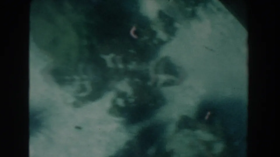 1961 Nassau 8mm frame of the ocean floor with dark sea urchin-like forms, pale sand or rock, and suspended particles.