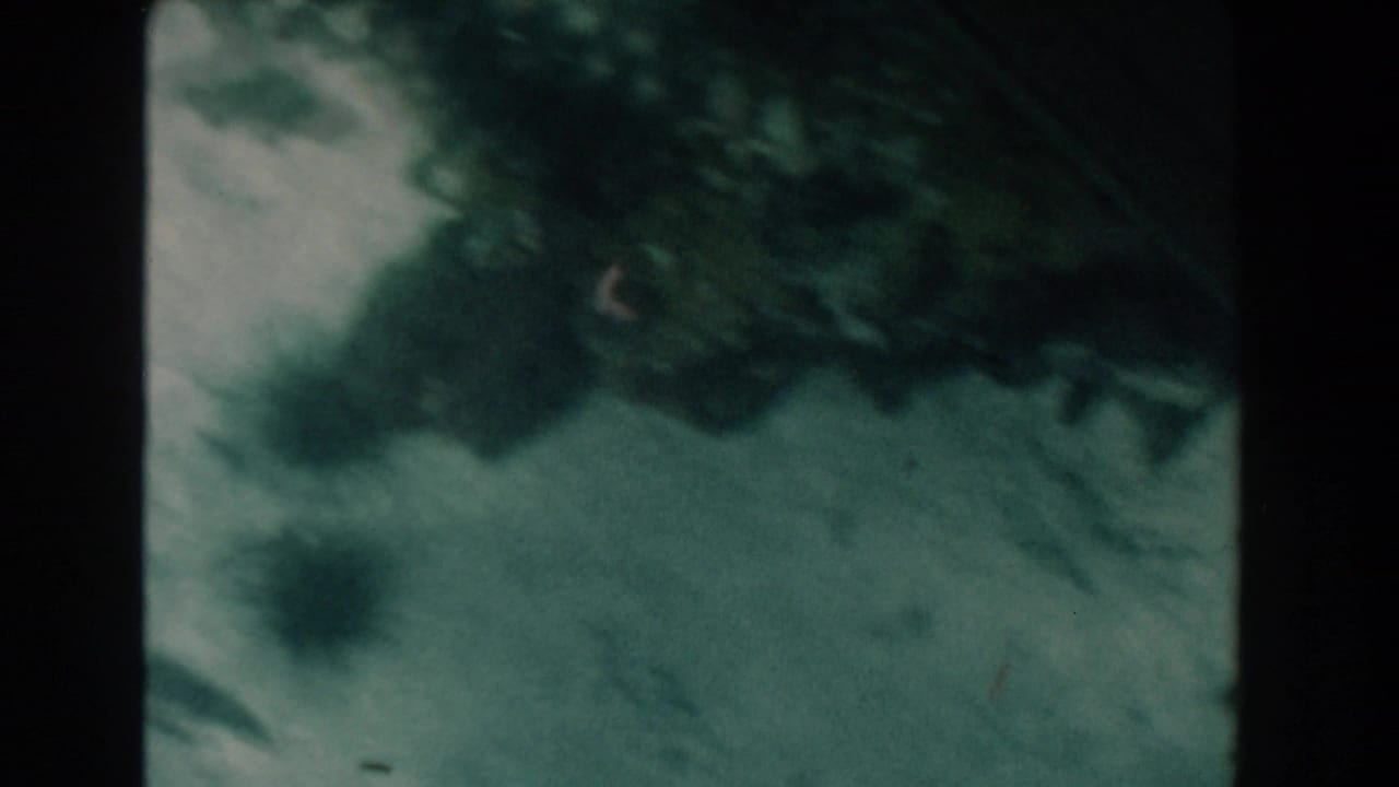 1961 Nassau, Bahamas 8mm underwater frame showing an upside-down view of pale seabed, dark spiky urchins, and soft patches of algae in green-blue water.