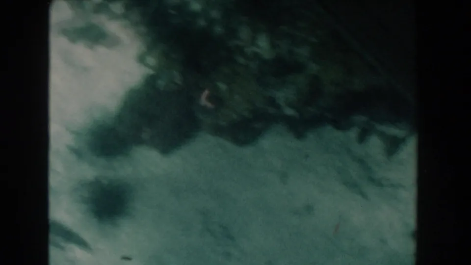 1961 Nassau, Bahamas 8mm underwater frame showing an upside-down view of pale seabed, dark spiky urchins, and soft patches of algae in green-blue water.
