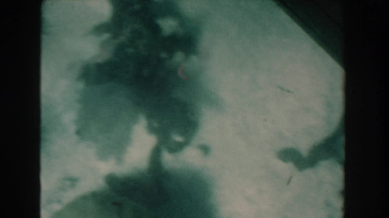 1961 Nassau, Bahamas underwater home-movie frame with a murky upside-down seabed, dark algae forms, and soft green-blue film color.