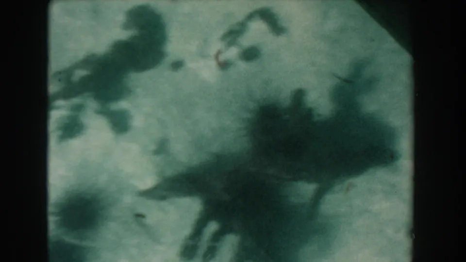 1961 Nassau, Bahamas 8mm frame showing a soft upside-down underwater view of sandy bottom, scattered dark urchins, and blurred algae or seaweed.