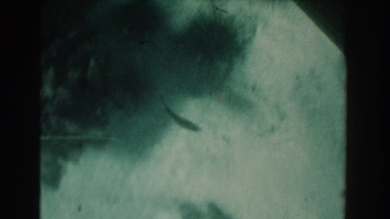 Green-blue underwater view with soft fish silhouettes and dark film frame edges.