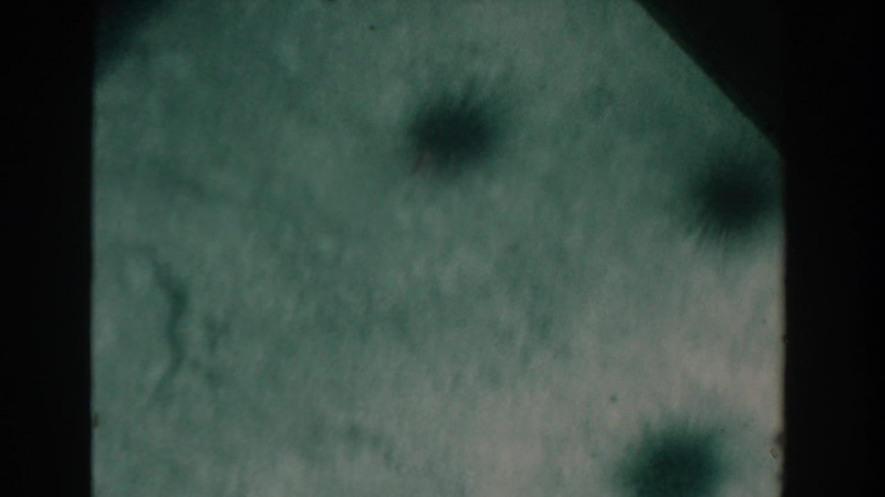 Soft underwater frame with pale seabed, dark specks, and film gate edges.