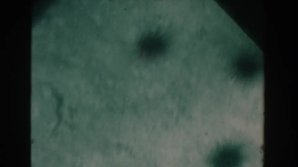 Nassau Bahamas 1961 8mm underwater view with pale sandy bottom, faint dark marine shapes, and visible film texture.