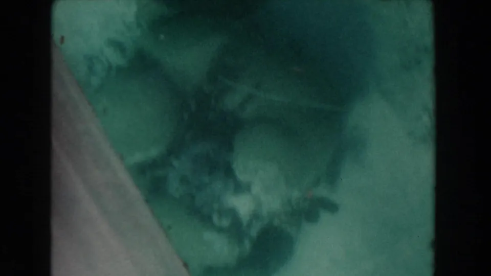 Nassau Bahamas 1961 8mm underwater frame with green water, soft seabed detail, and a dark starfish-like form near the lower right.