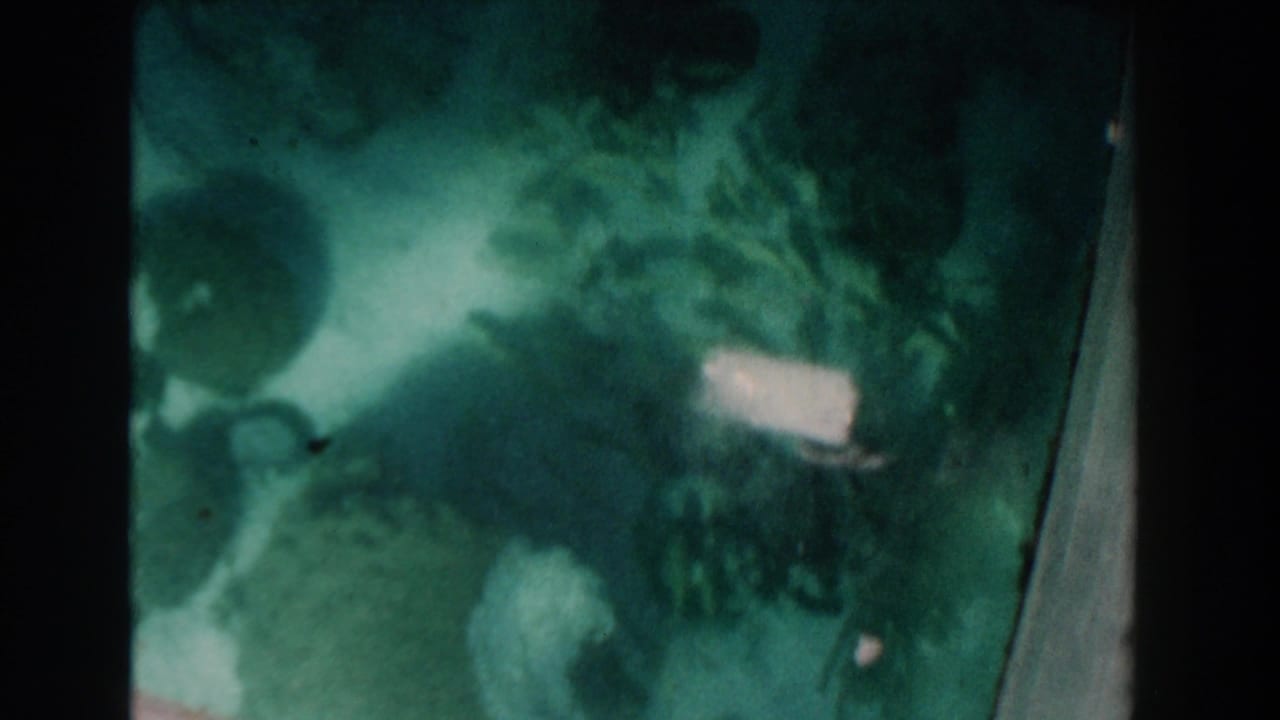 Glass-bottom view with green water, dark coral-like shapes, and a bright reflection near one pane.