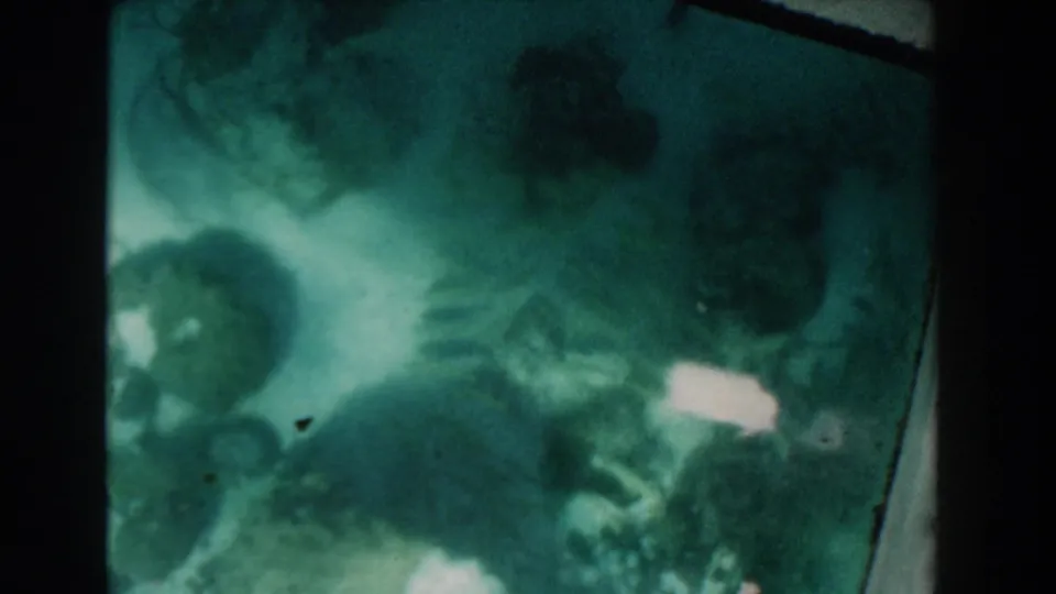 1961 Nassau glass-bottom boat frame with a soft green seabed view, dark marine growth, pale sand, and visible film wear.