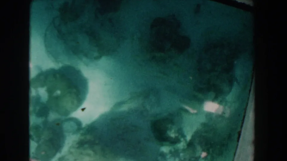 1961 Nassau glass-bottom boat view with divided panes, green water, dark seabed formations, and a small bright reflected area.