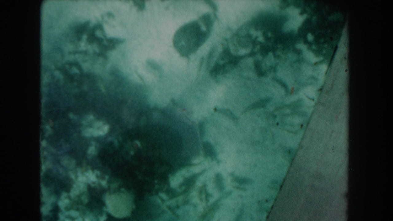 1961 Nassau 8mm frame showing hazy teal water with small fish shapes, drifting shadows, and visible film gate edges.