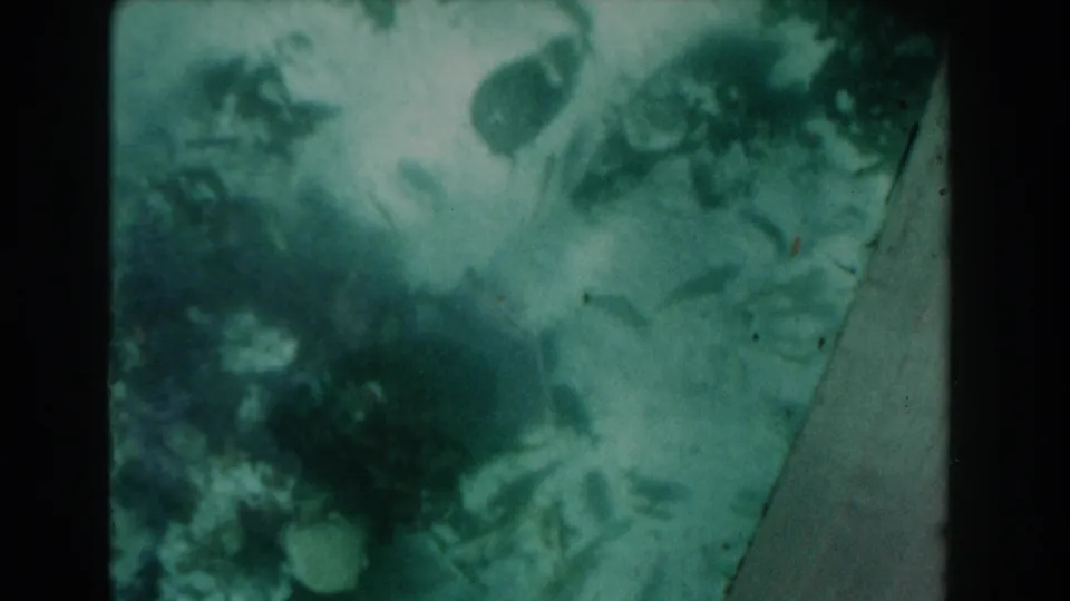 1961 Nassau 8mm frame showing hazy teal water with small fish shapes, drifting shadows, and visible film gate edges.