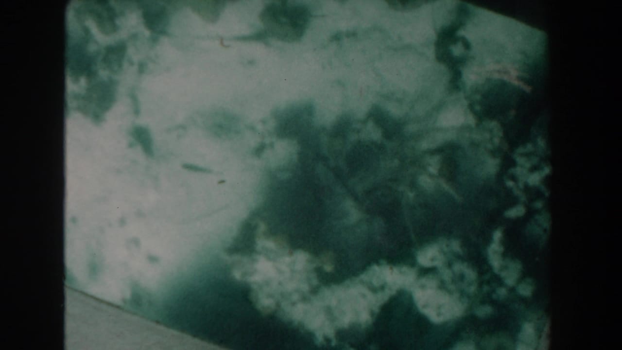 Green-tinted 8mm frame at the opening of the 1961 Nassau clip, showing cloudy underwater-like texture or a film transition.