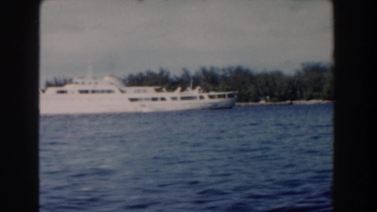 White ship partly framed across rippling water near a wooded shoreline.