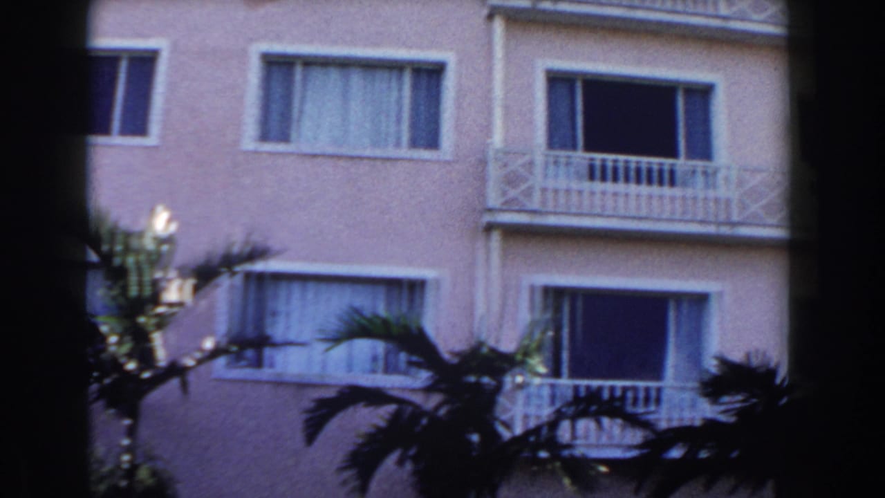 Pale multi-story building with balconies and dark windows behind palm fronds.