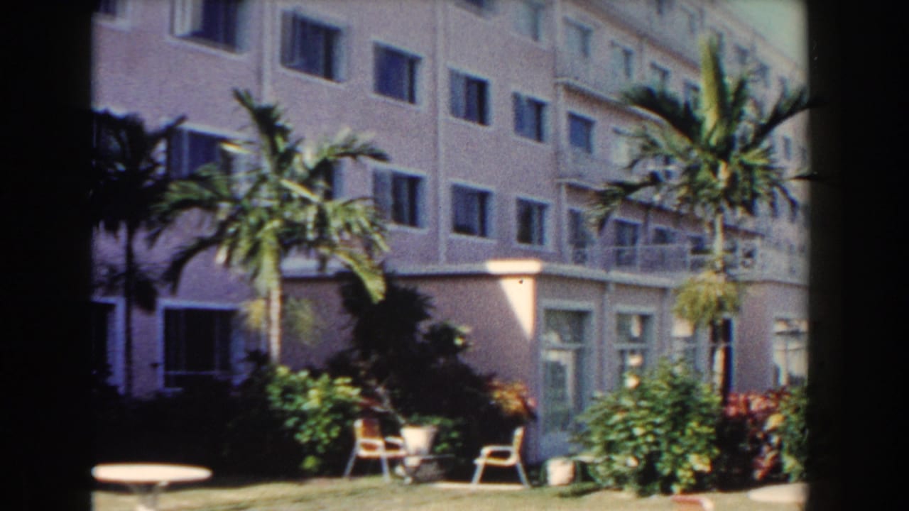 Hotel corner with palms, shrubs, balcony railings, patio chairs, and windows.