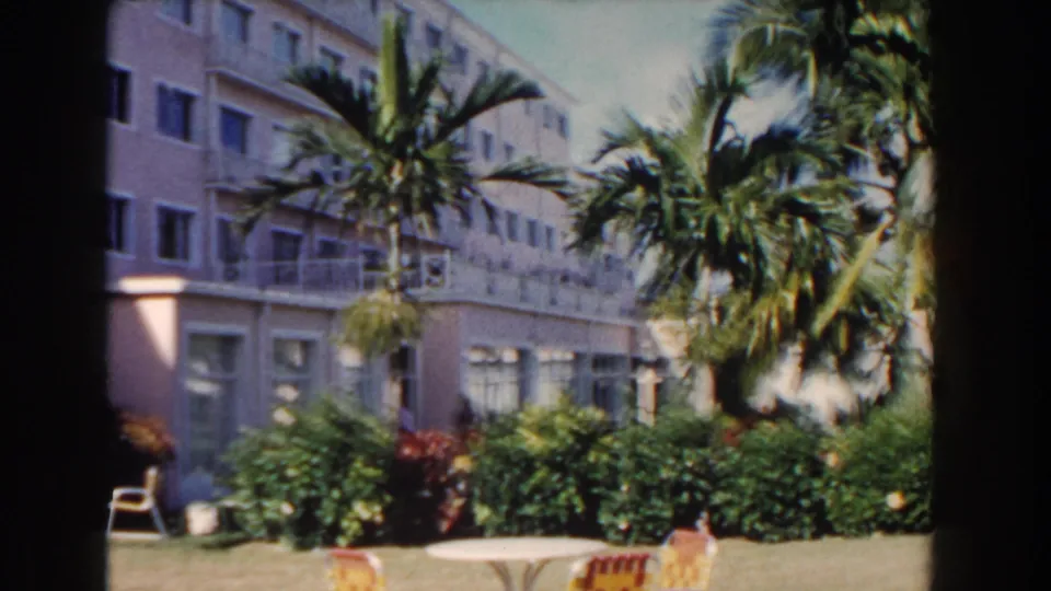 1961 Nassau hotel grounds framed by tall palms, with shrubs, lawn, balcony railings, windows, and patio chairs visible.