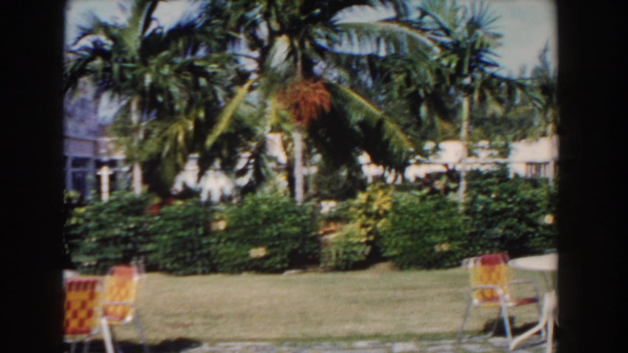 Resort lawn with palms, hedges, patio chairs, and hotel structures in the background.