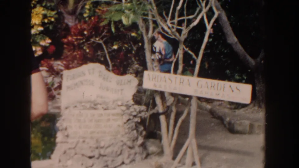 1961 Nassau frame showing the Ardastra Gardens sign near a stone marker, trees, and a background visitor.