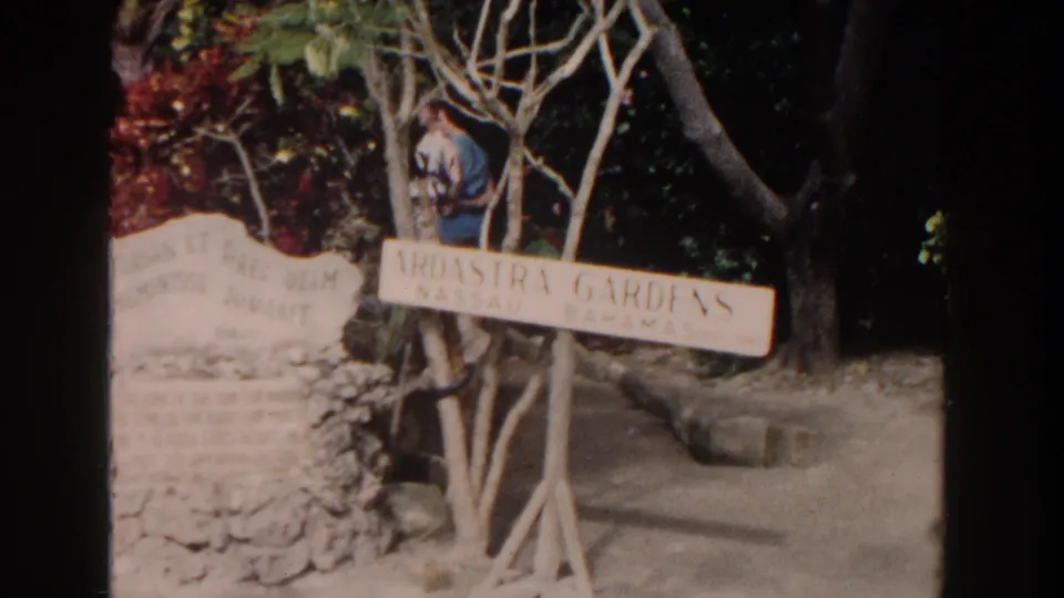 1961 Nassau home-movie frame centers the Ardastra Gardens Nassau Bahamas sign beside trees and stonework.