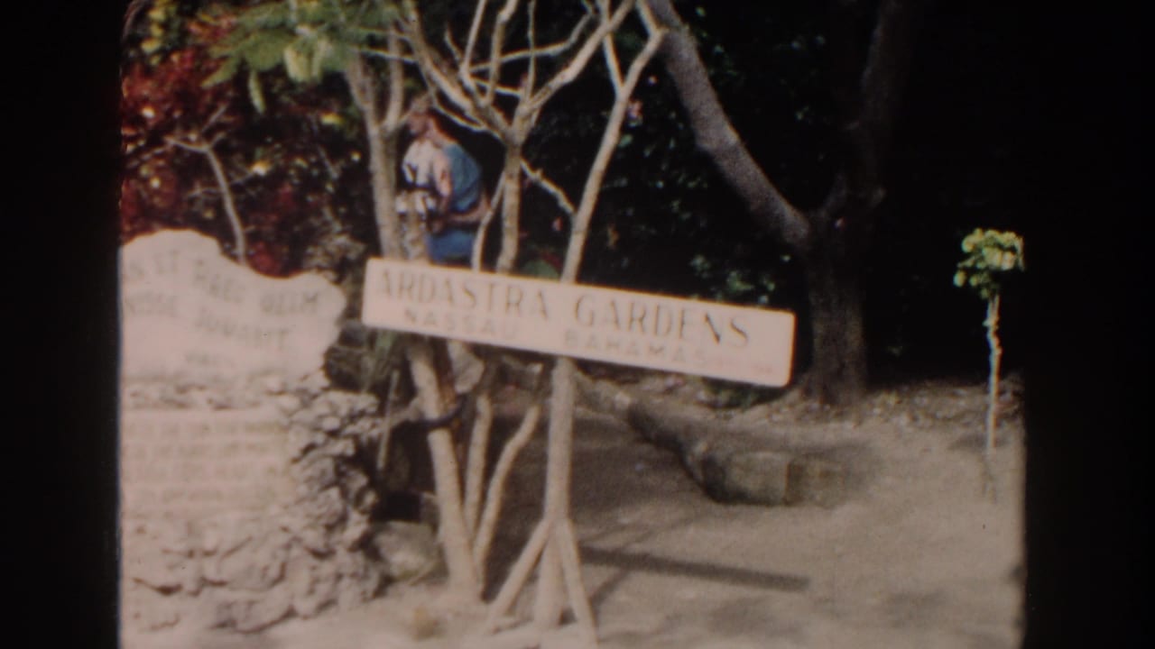 1961 Nassau home-movie frame showing the Ardastra Gardens sign, stonework, trees, and a child near the garden entrance.