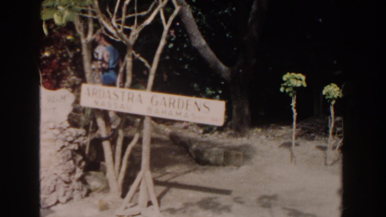 Wooden Ardastra Gardens sign beside a stone wall and garden path.
