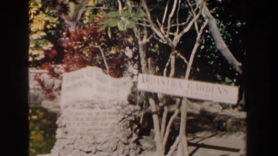 Soft 8mm frame of the Ardastra Gardens entrance, with a stone marker, wooden sign, tree branches, and tropical plantings.