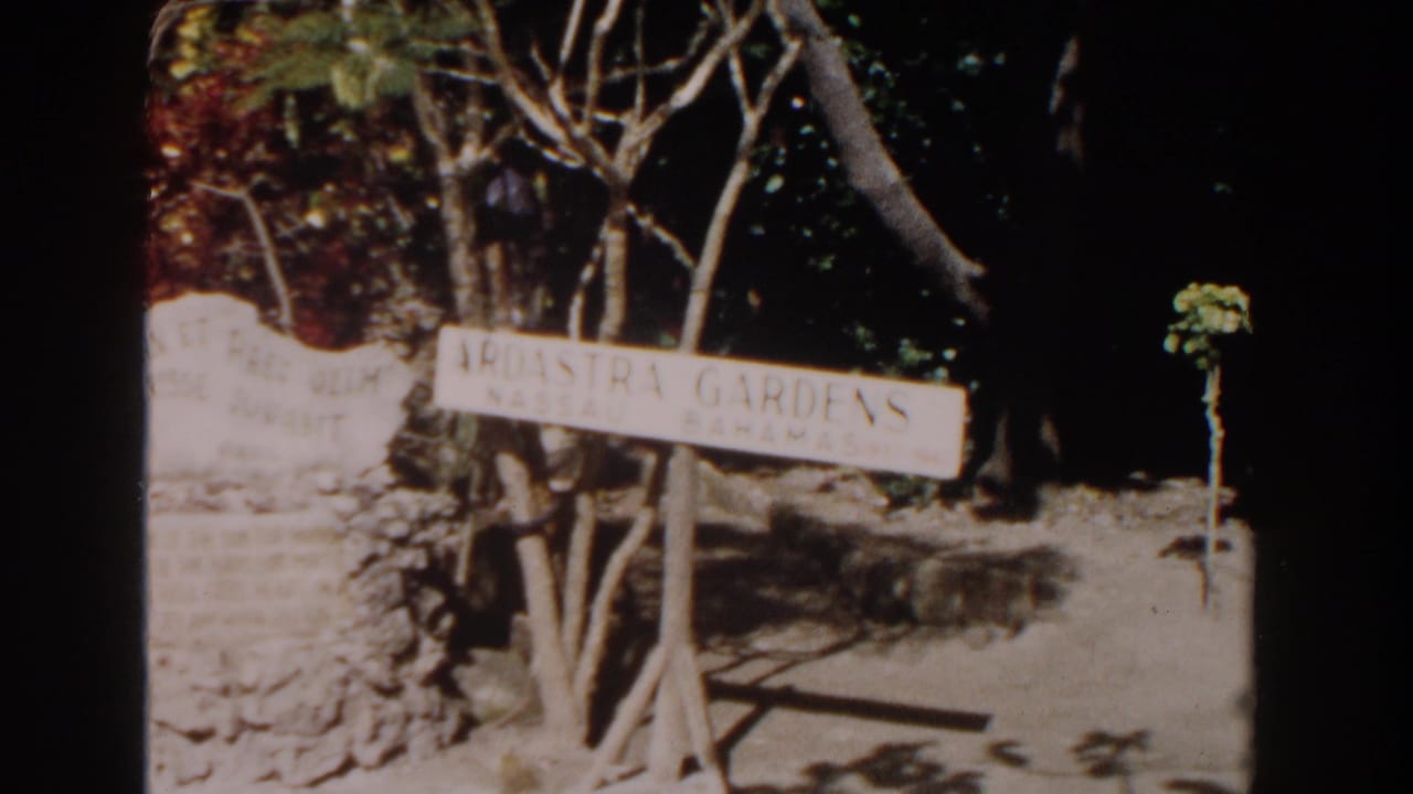 1961 Nassau home-movie frame showing the Ardastra Gardens sign near trees, a stone wall, and shaded garden paths.