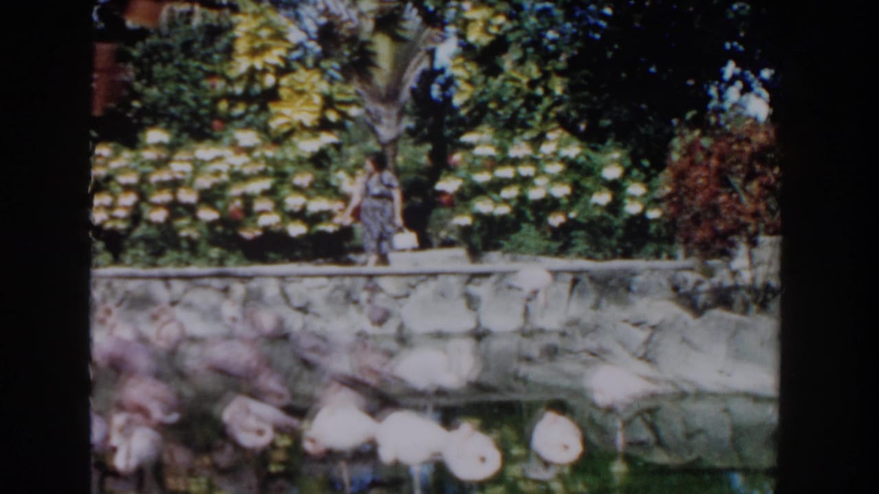 Woman walking along a terrace beside a pond with flamingos below.