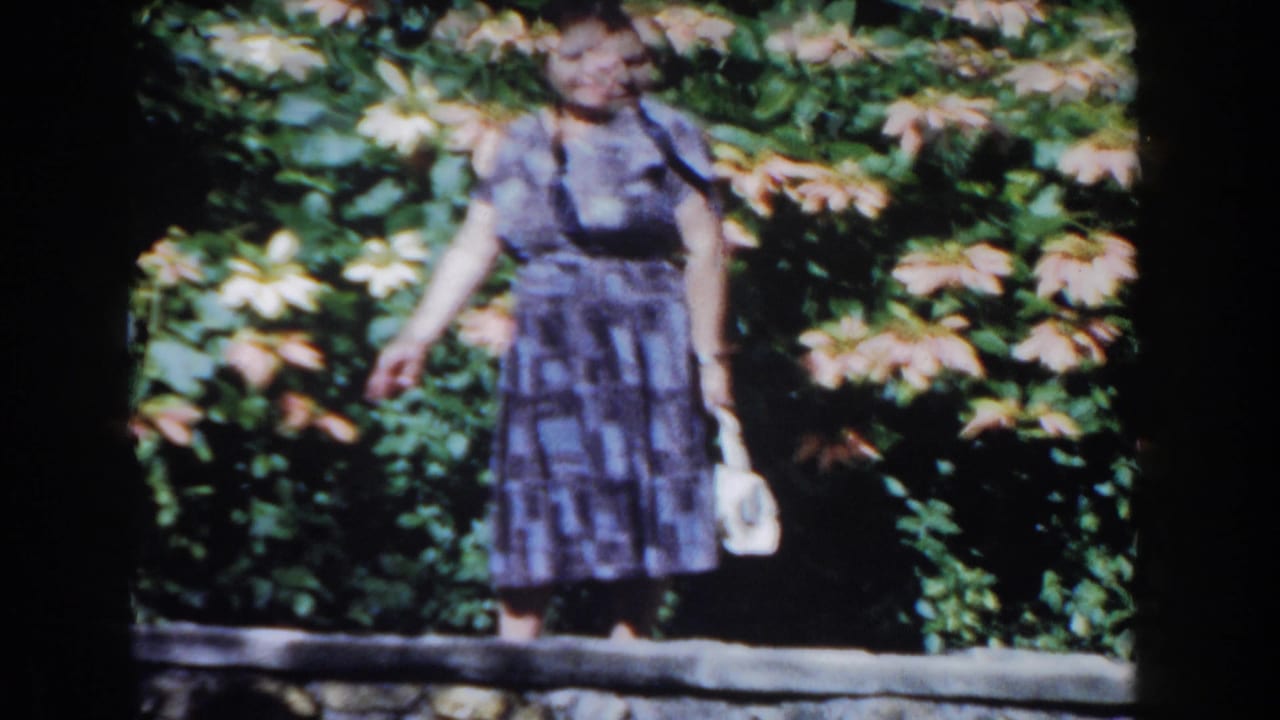 Woman in a patterned dress standing before flowering shrubs and a stone wall.