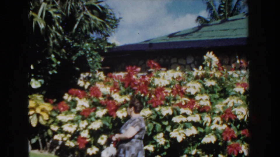 Woman in a patterned dress posing near red and pale tropical flowers in a 1961 Nassau garden home movie.