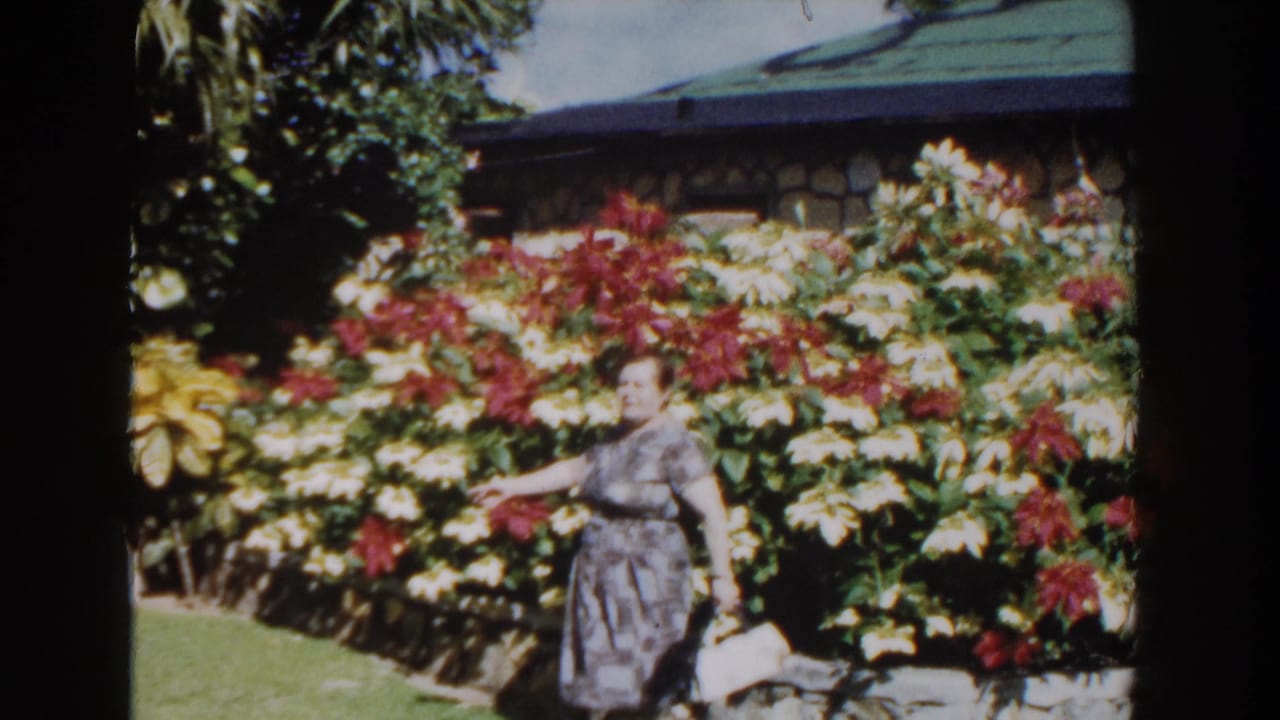 Woman in a patterned dress walks beside flowering plants and a stone wall.