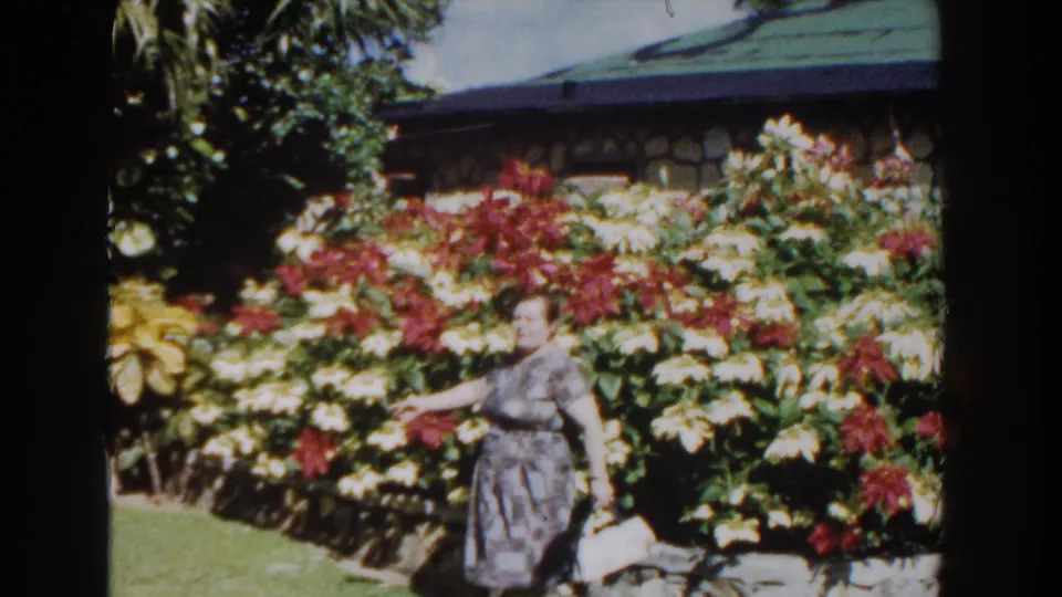 In Nassau, Bahamas, 1961, a woman with a white handbag walks past red and pale tropical flowers near a stone wall.