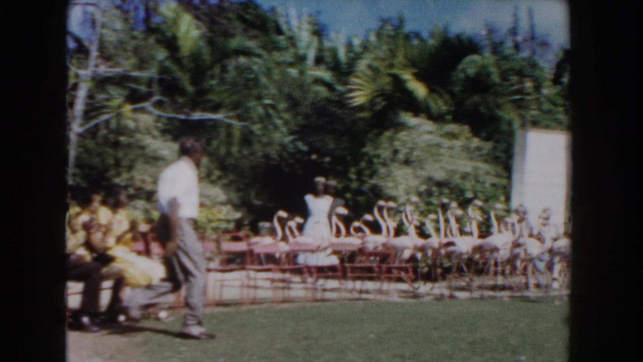 In Nassau, Bahamas home-movie footage from 1961, a man in a white shirt approaches flamingos as visitors watch from benches.