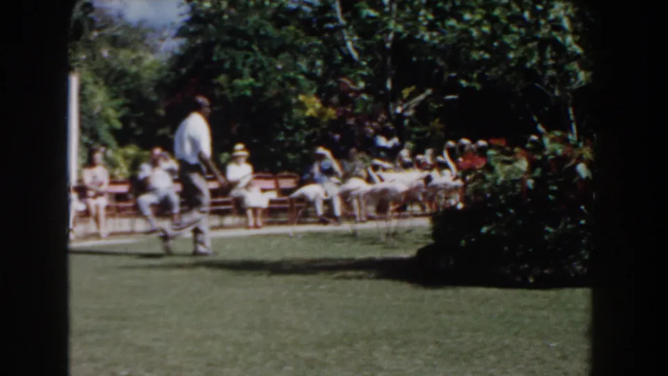 The home-movie frame shows the handler crossing the lawn while flamingos and seated visitors remain in the shaded garden background.