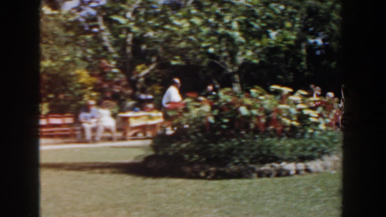 Visitors sit and stand near flowerbeds in a tropical park with flamingos at the right edge.