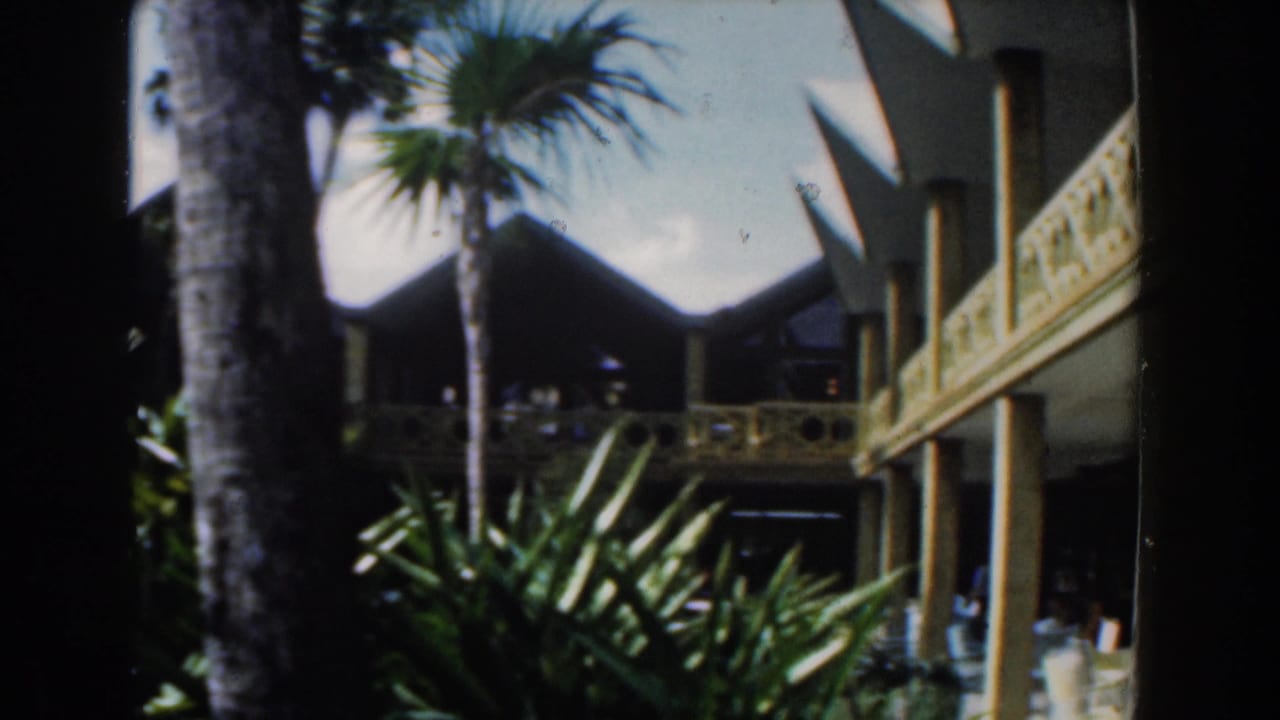 1961 Nassau resort view with palm trunks, dense greenery, shaded balconies, and angular modernist rooflines.