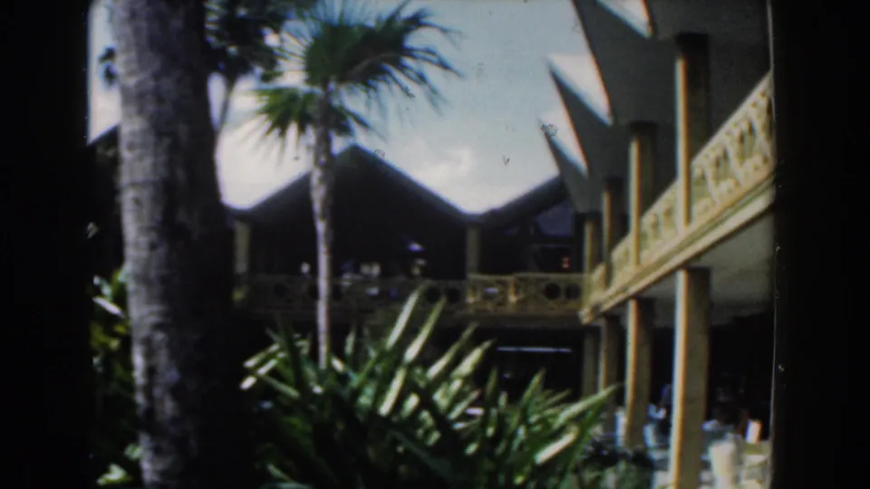1961 Nassau resort view with palm trunks, dense greenery, shaded balconies, and angular modernist rooflines.