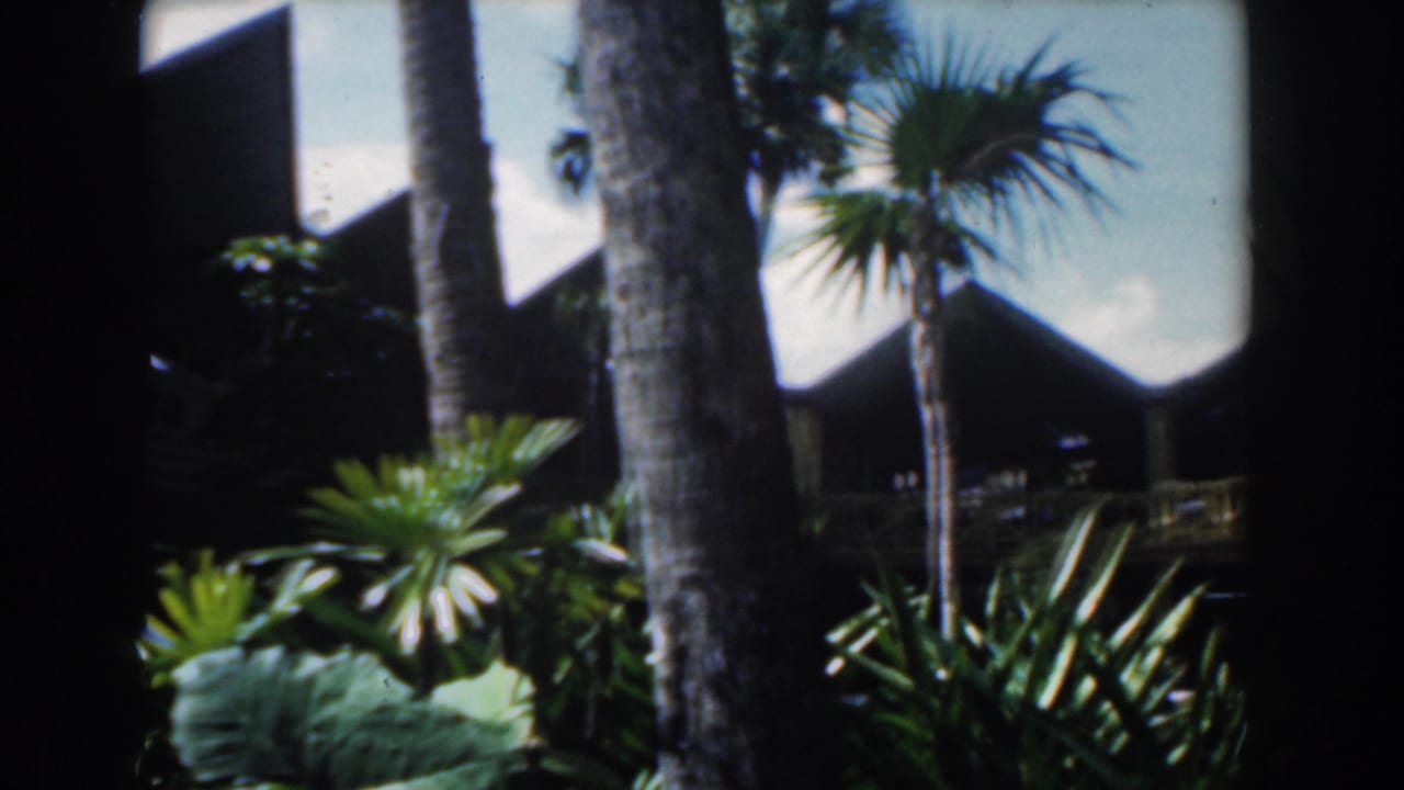 Tropical foliage and palm trunks partially obscure a resort building.