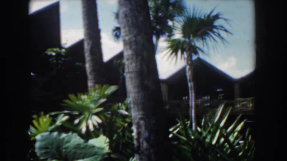 Palm trunks and broad tropical leaves frame a dark shaded resort facade in Nassau, Bahamas, circa 1961.