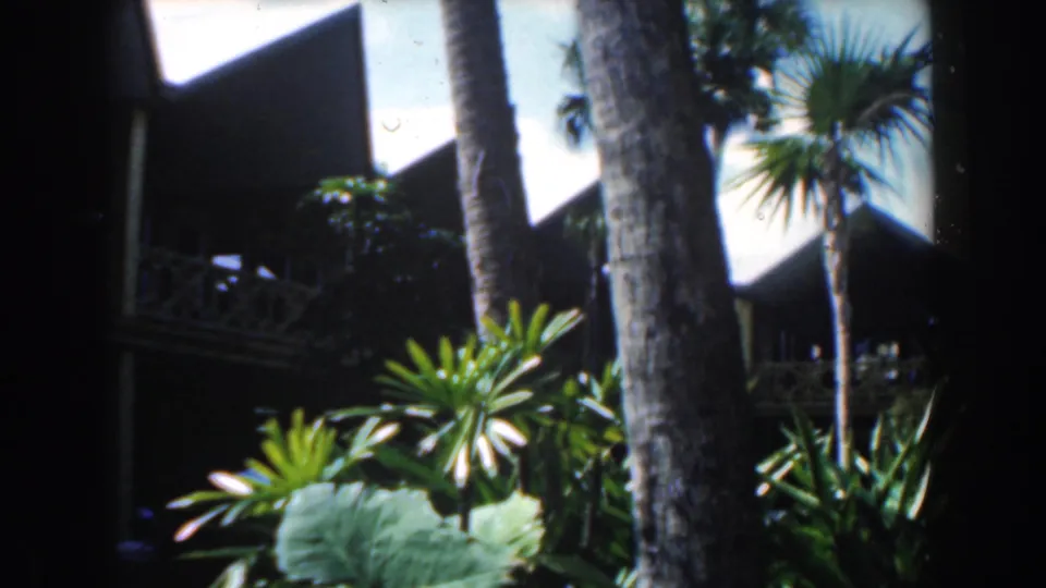 1961 Nassau home-movie frame showing layered palms, tropical shrubs, and a shaded resort balcony behind them.