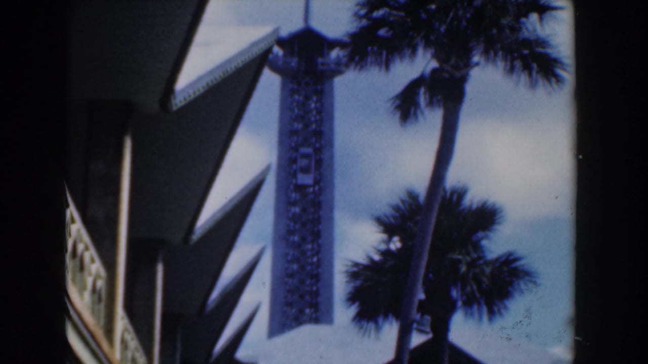 Tower and palm trees seen beside dark roof edges and sky.