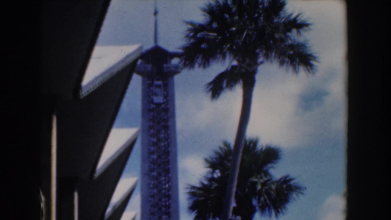 Tall tower and palm tree seen through dark architectural framing.