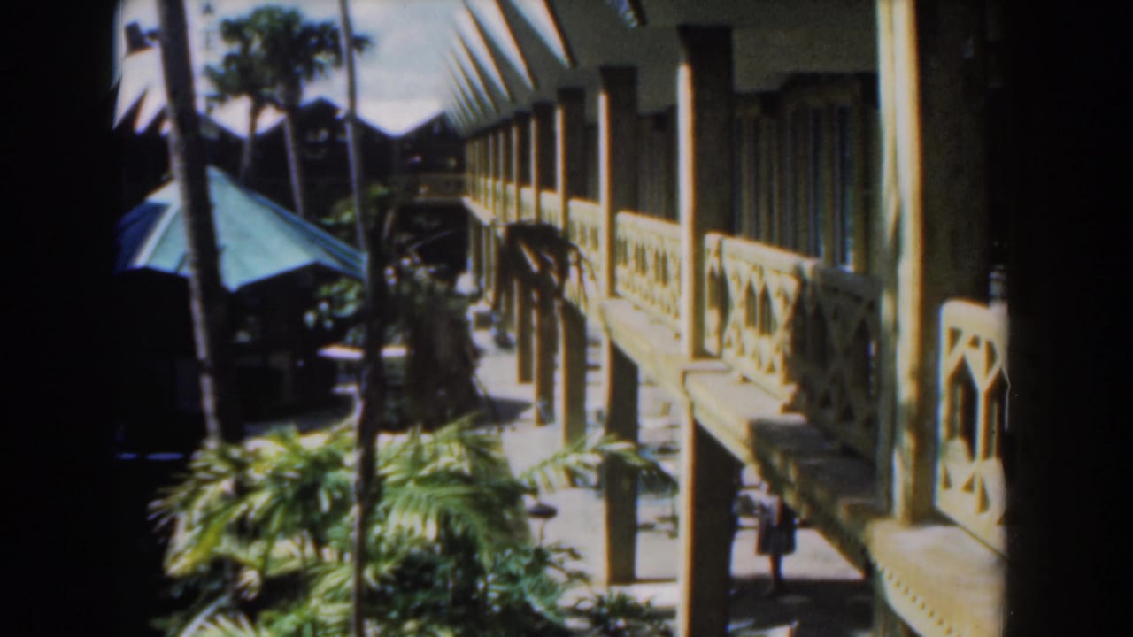 Sunlit tropical walkway with palms, a green umbrella, railings, and a visitor below.
